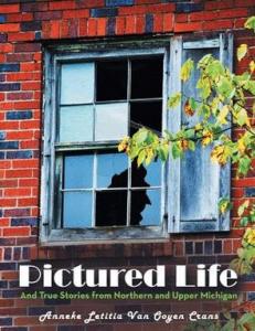 PICTURED LIFE  A NEW BOOK of Immigration stories & 350 color photos of historic structures and natural wonders