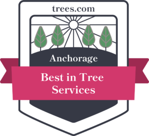 Best Tree Service in Anchorage, Rice and Company Tree Service, is Recognized as being ‘A Cut Above the Rest’