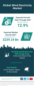 Wind Electricity Market Size, Share And Growth Analysis For 2024-2033