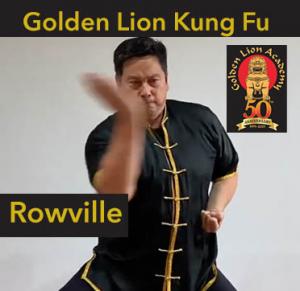 Kung Fu Master Rowville