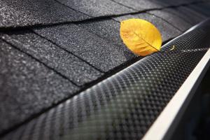 Leaf Guards: A Smart Investment for Homeowners Seeking Low Maintenance Solutions