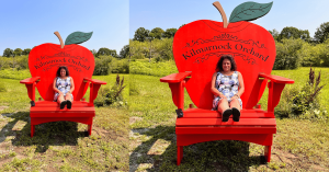 Kilmarnock Orchard Giant Chair with Apple Back