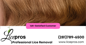 Satisfied-Customers-Licepros-281-789-6500