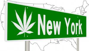 New York state with cannabis leaves