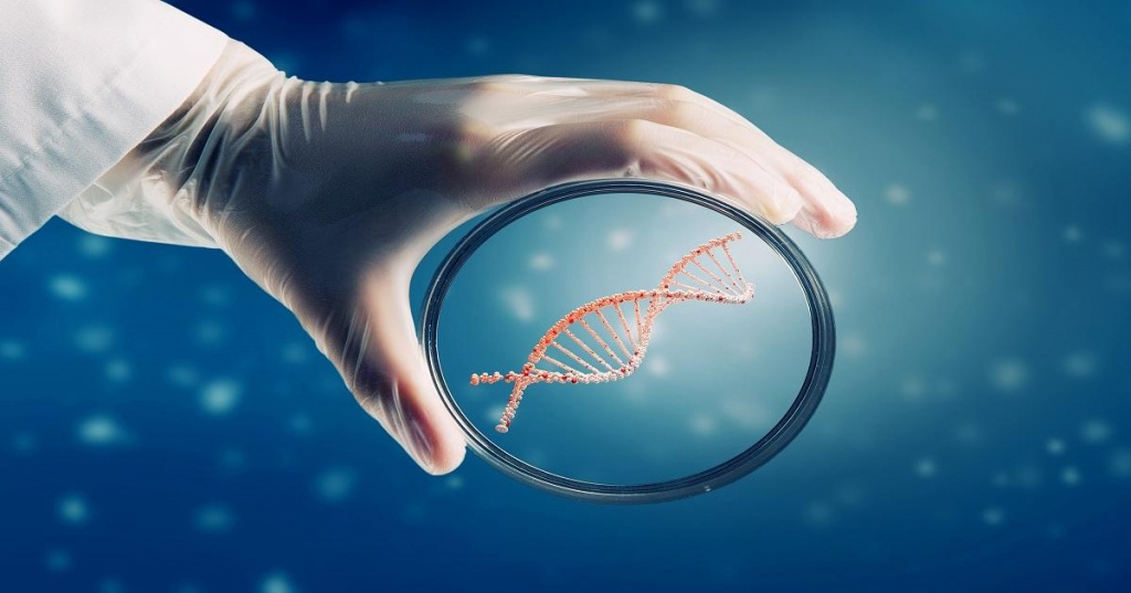 Rnai Technology Market