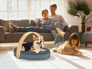 Charlie&Greta smart pet bed by Biovitae and Light On Your Side