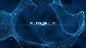 In response to community requests, Archimedes introduces the Multichain Audit feature.