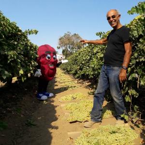 DANCING RAISIN FIELD visit.