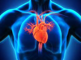 Heart Failure Market to Reach US$ 18.5 Billion by 2033, at CAGR of 9.81% from 2024 to 2034