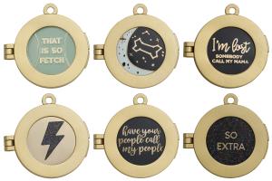 The new Pet ID Tag Locket in the color gold by Two Tails Pet Company.