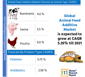 Global Animal Feed Additive Market Forecast 2021 By Animal Type