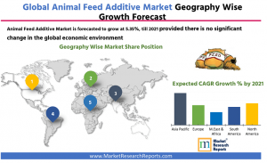 Global Animal Feed Additive Market Forecast 2021 By Geography
