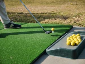 Worldwide Artificial Turf Market