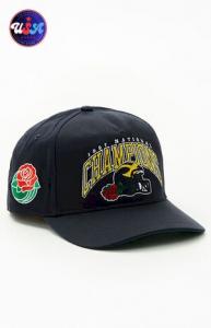 Michigan Wolverines Rose Bowl 47 Brand Cap