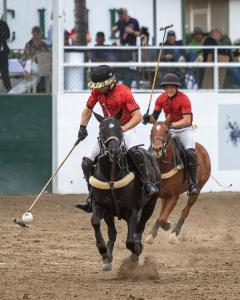 Two polo players riding on horseback
