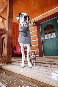 Photo of Birdie and Froggy