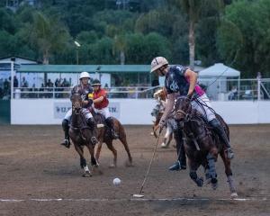 three polo players ride horseback after a polo ball in arena