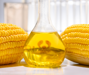 Maize Starch & Liquid Glucose Market