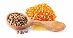 Bee Propolis Extract Market Insights
