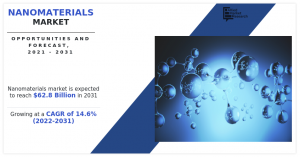 Nanomaterials Market Share