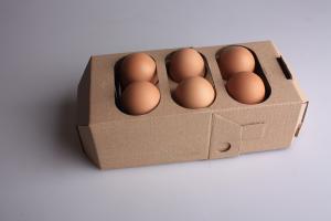 Egg Packaging Market Insights