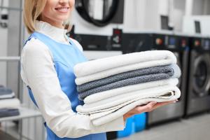 Online Laundry Service Market