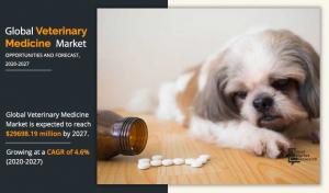 Veterinary Medicine Market Size