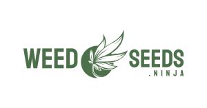 Weedseeds.ninja Rebrands as Kind Seed Co, Uniting Prominent Brands for One-Stop Cannabis Seed Shop