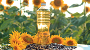 Sunflower Oil Market