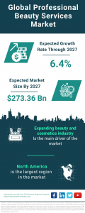Professional Beauty Services Market Size, Share, Revenue, Trends And Drivers For 2024-2033