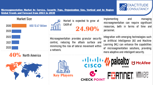 Microsegmentation Market