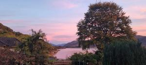 View of Loch Broom from garden during sunset