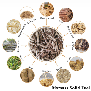 Biomass Solid Fuel Market Trend