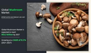 Mushrooms market