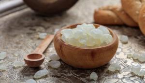 Global Mastic Gum Market Trend