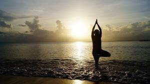 Yoga Retreat Guide