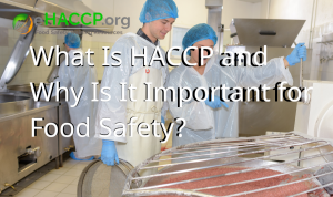 HACCP Training and Certification