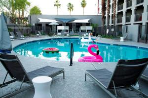Outdoor pool area at Moxy Phoenix Tempe/ASU featuring a large swimming pool with inflatable watermelon and flamingo floaties, surrounded by sun loungers, umbrellas, and palm trees.