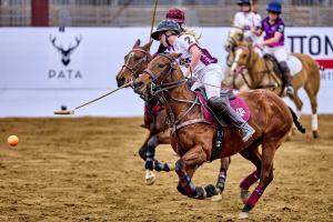 a woman polo player on a horse hits the ball out of the air in Texas Arena League arena polo