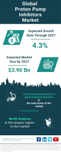 Proton Pump Inhibitors Market Report 2024