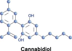 Cannabidiol Molecule