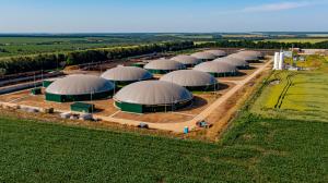 Biogas and Biomethane Market