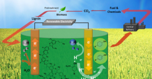 Asia (Japan, South Korea, China, India, ASEAN) Waste and Biomass Valorization Market