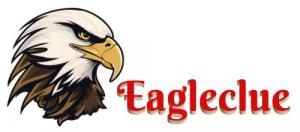 Eagleclue Launches Exciting New Blogging Platform – EagleClue.com