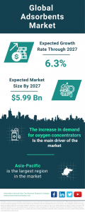 Adsorbents Market Report 2024