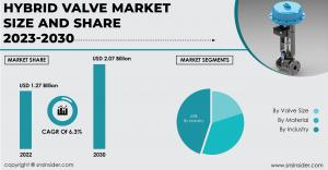 Hybrid Valve Market