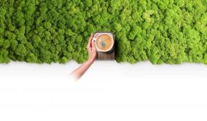 Redefining Home Decor: BioDisplay Integrates Nature into Everyday Living