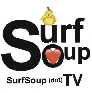 Prime Time Emmy Honored TV Animator & Author Donna Kay Lau Unveils Exciting 2024 Projects with Surf Soup