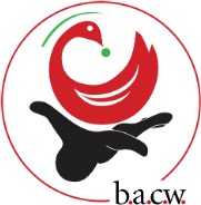2024 CLASS OF THE BACW SANKOFA INSTITUTE FOR AFRICAN AMERICAN EXECUTIVE AND EMERGING LEADERS IN CHILD WELFARE