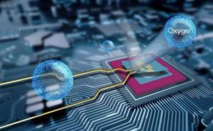 Electronic Chemicals & Materials market